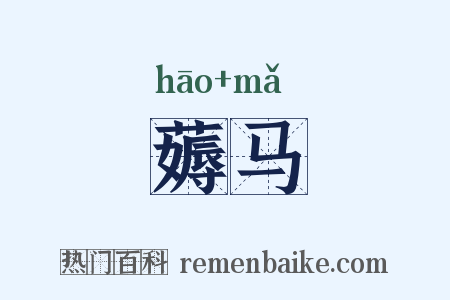 薅马是什么意思的图片